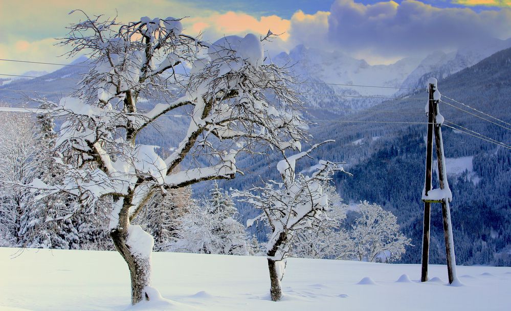 Hochwinter in den Alpen 