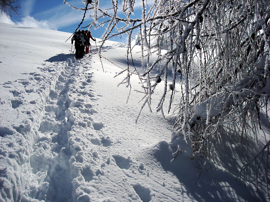 Hochwinterliche Verhältnisse