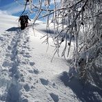 Hochwinterliche Verhältnisse