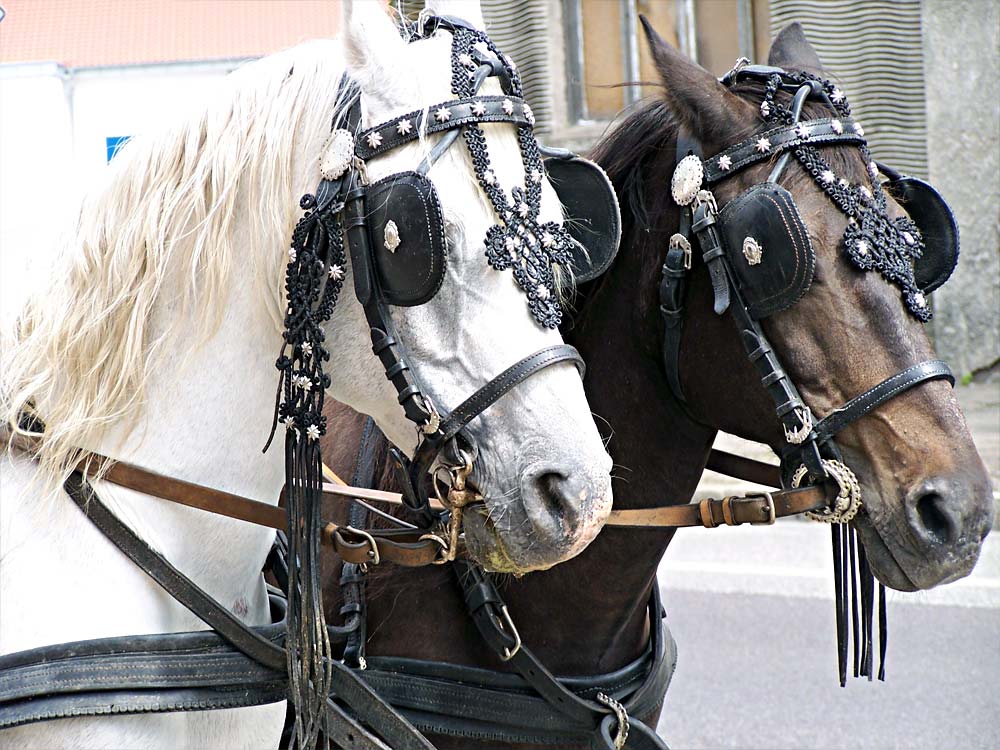 Hochzeit