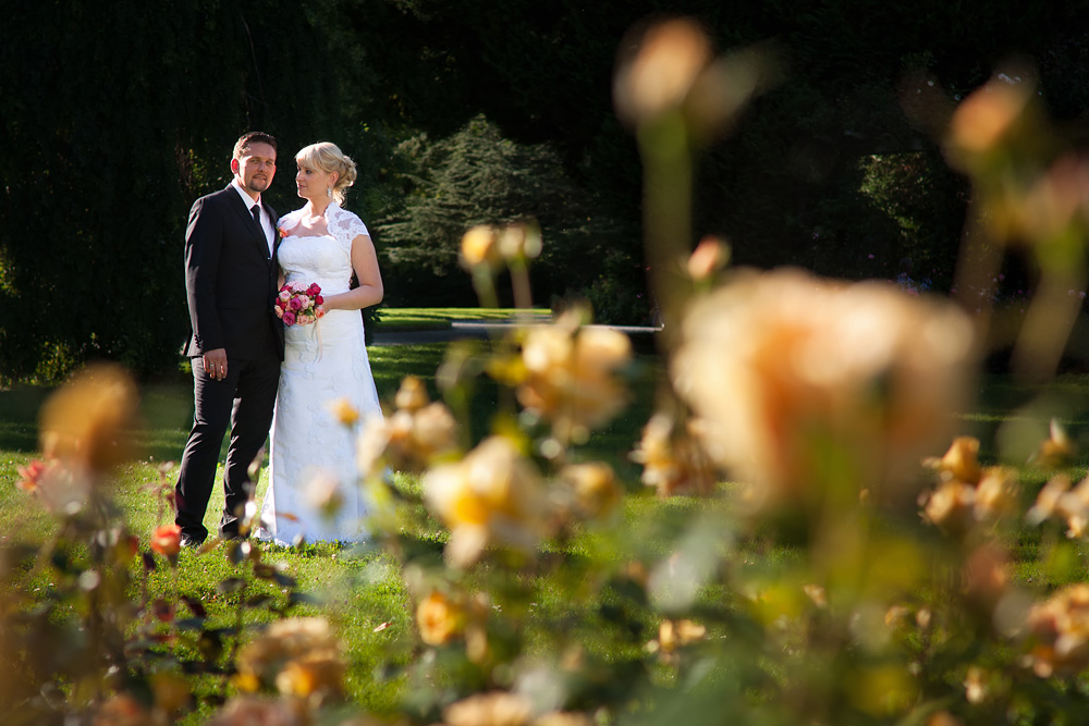 Hochzeit am Bodensee - 05