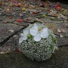 Hochzeit auf dem Jagdtschloss