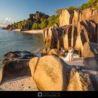 Hochzeit auf La Digue