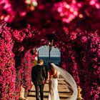 Hochzeit auf Mallorca