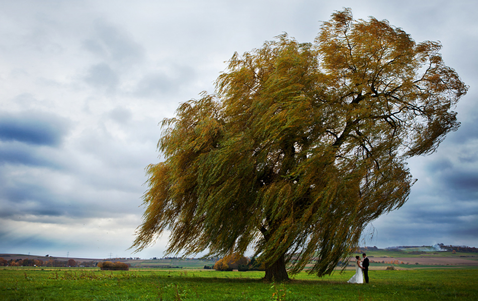 Hochzeit