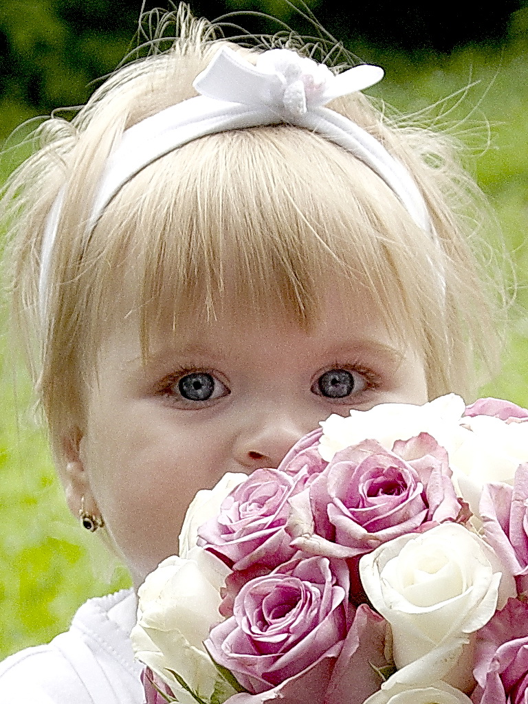 Hochzeit Blume