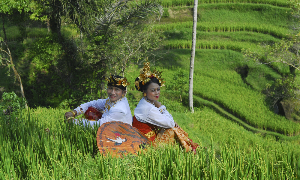 Hochzeit; Hochzeitspaar; Reisfeld; Balu; Indonesien