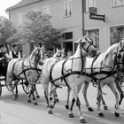 Hochzeit im Burgenland/Österreich........