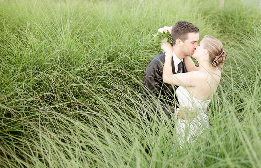 Hochzeit im Pampasgras