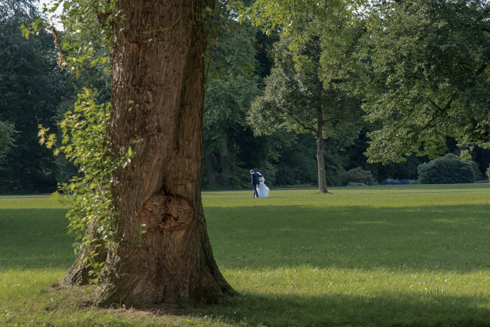 Hochzeit im Park