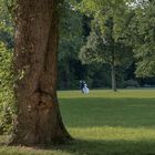 Hochzeit im Park