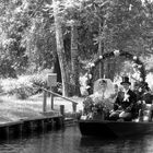 Hochzeit im Spreewald / 2009