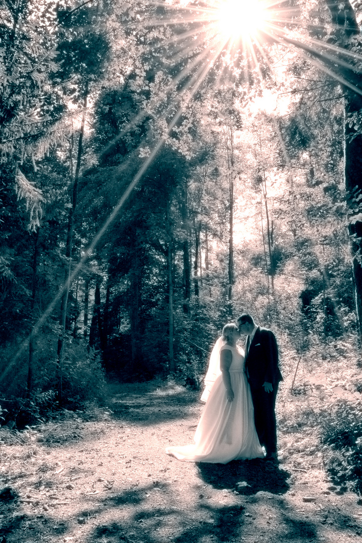 Hochzeit im Wald Foto & Bild erwachsene menschen, landschaft, wald