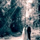 Hochzeit im Wald