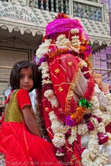 Hochzeit in Ajmer I