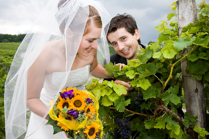 *Hochzeit in den Weinbergen*