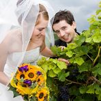 *Hochzeit in den Weinbergen*