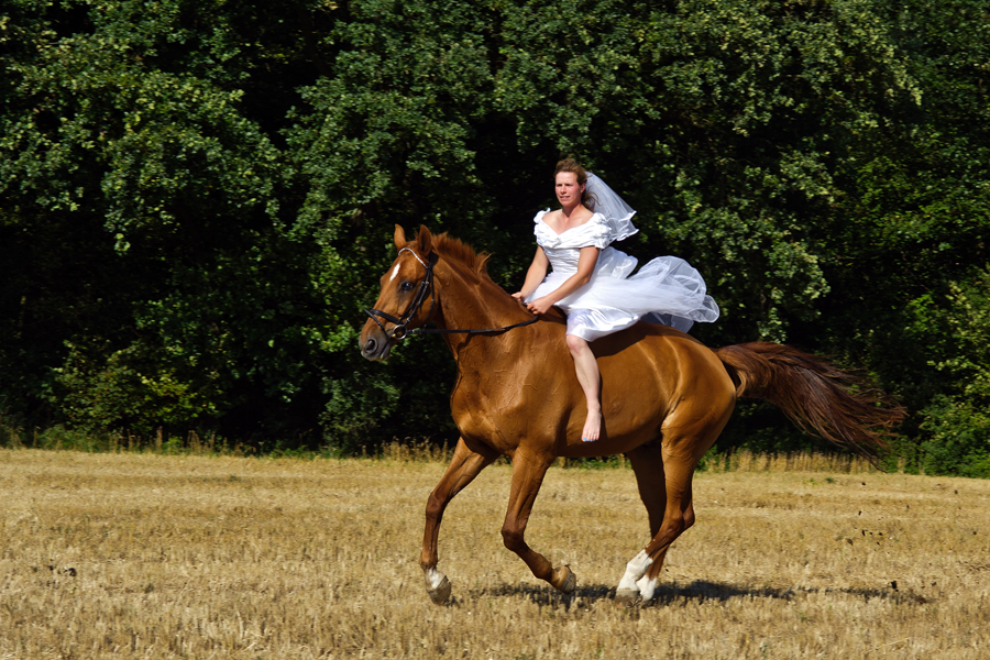 Hochzeit in Hamm