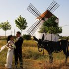 Hochzeit in La Mancha 2