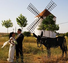 Hochzeit in La Mancha 2