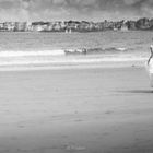 Hochzeit in St.Malo