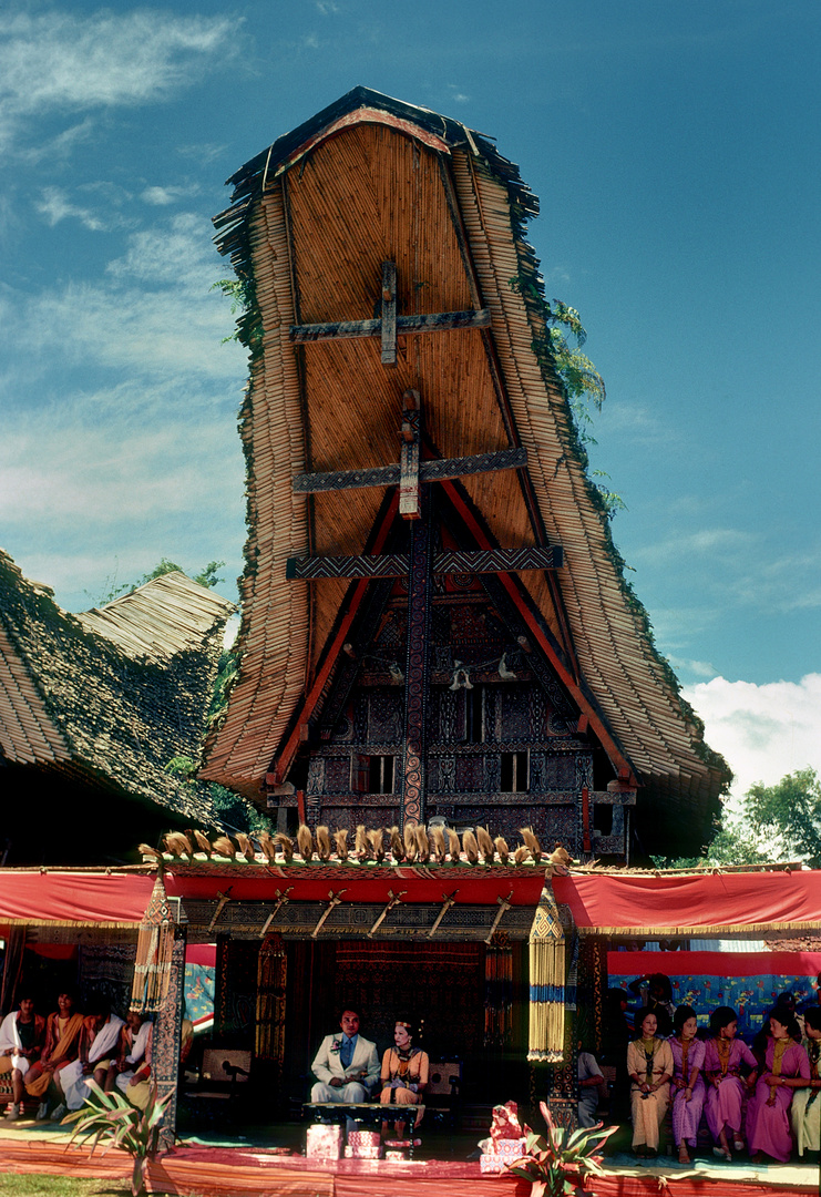 Hochzeit in Tanah Toraja