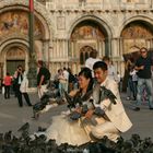 Hochzeit in Venedig..