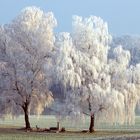 Hochzeit in Weiss