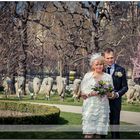 Hochzeit in Wien