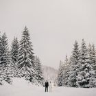 Hochzeit Landscape