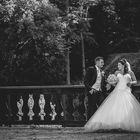 Hochzeit / Wedding