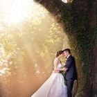Hochzeit_Baum