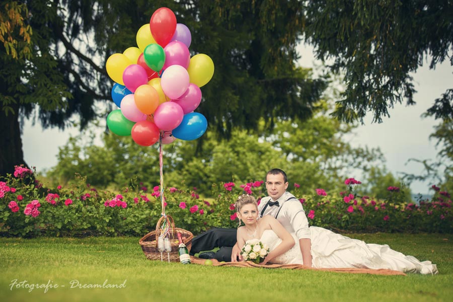 Hochzeits - piknik