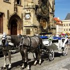 Hochzeitskutsche in Prag