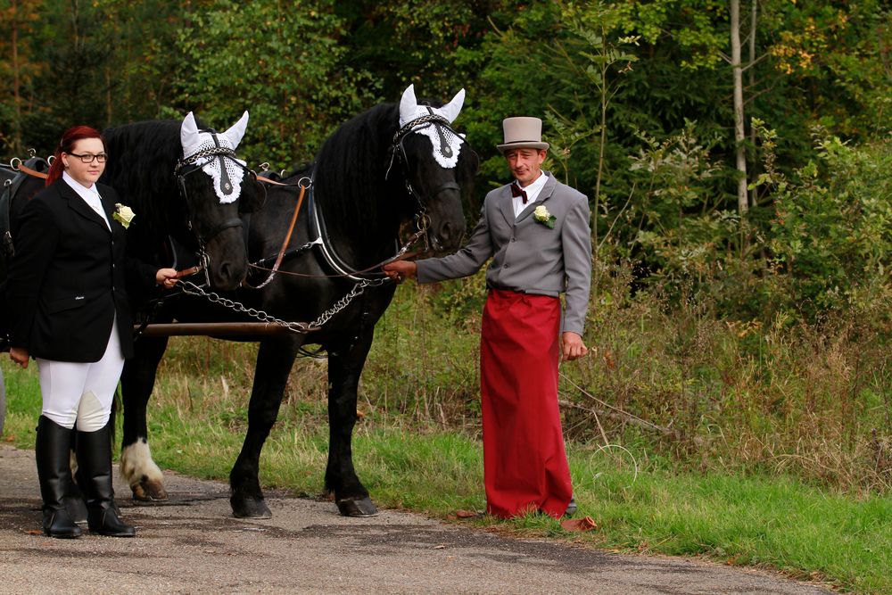 Hochzeitskutscher