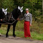 Hochzeitskutscher