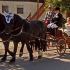 Hochzeitskutscher~2