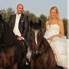 Hochzeitspferde