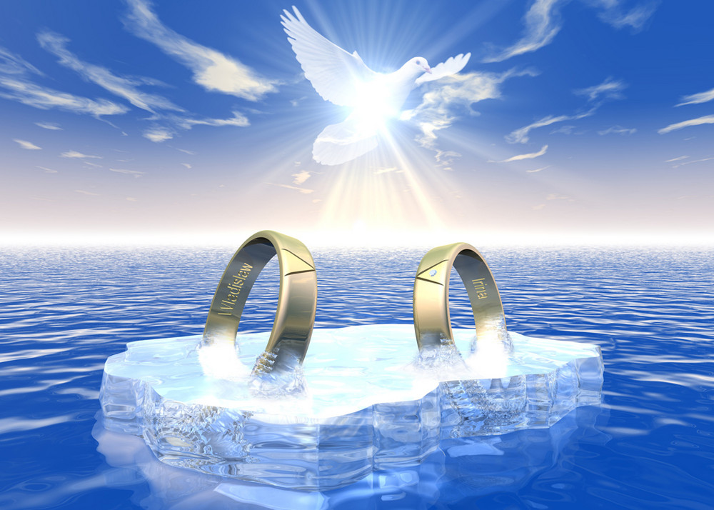 Hochzeitsringe Foto & Bild | stillleben, motive Bilder auf fotocommunity