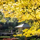 Hochzeitsshooting im Japangarten