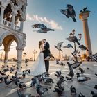 Hochzeitstauben in Venedig