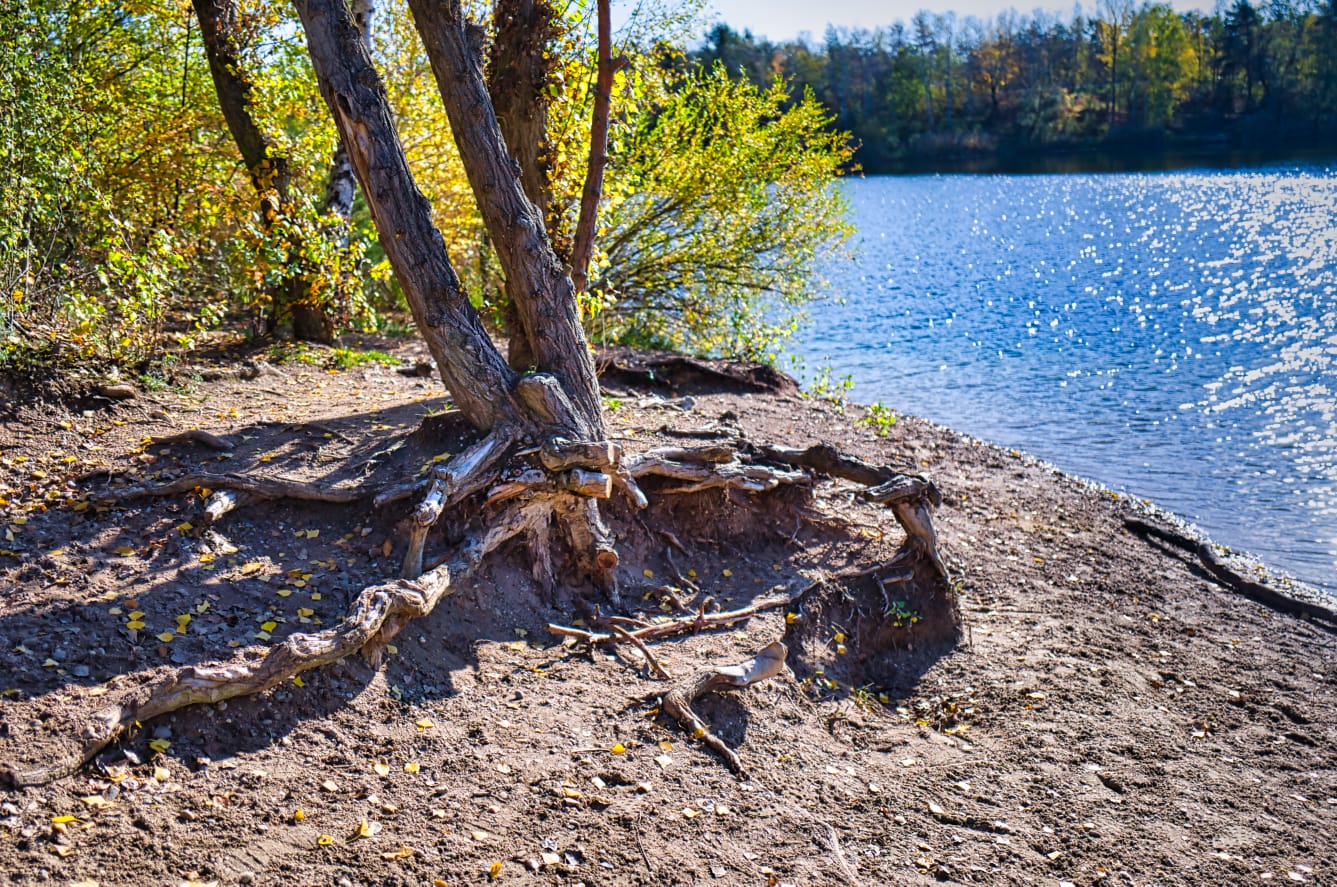 Hockenheim am Anglersee