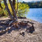 Hockenheim am Anglersee