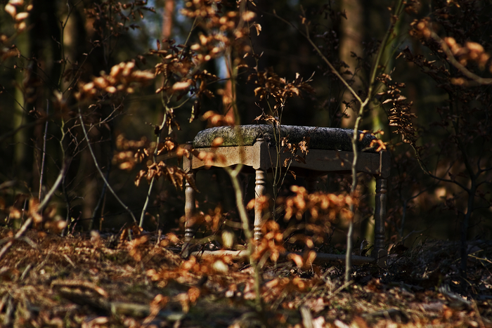 Hocker im Wald