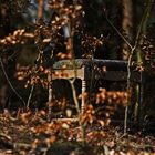 Hocker im Wald