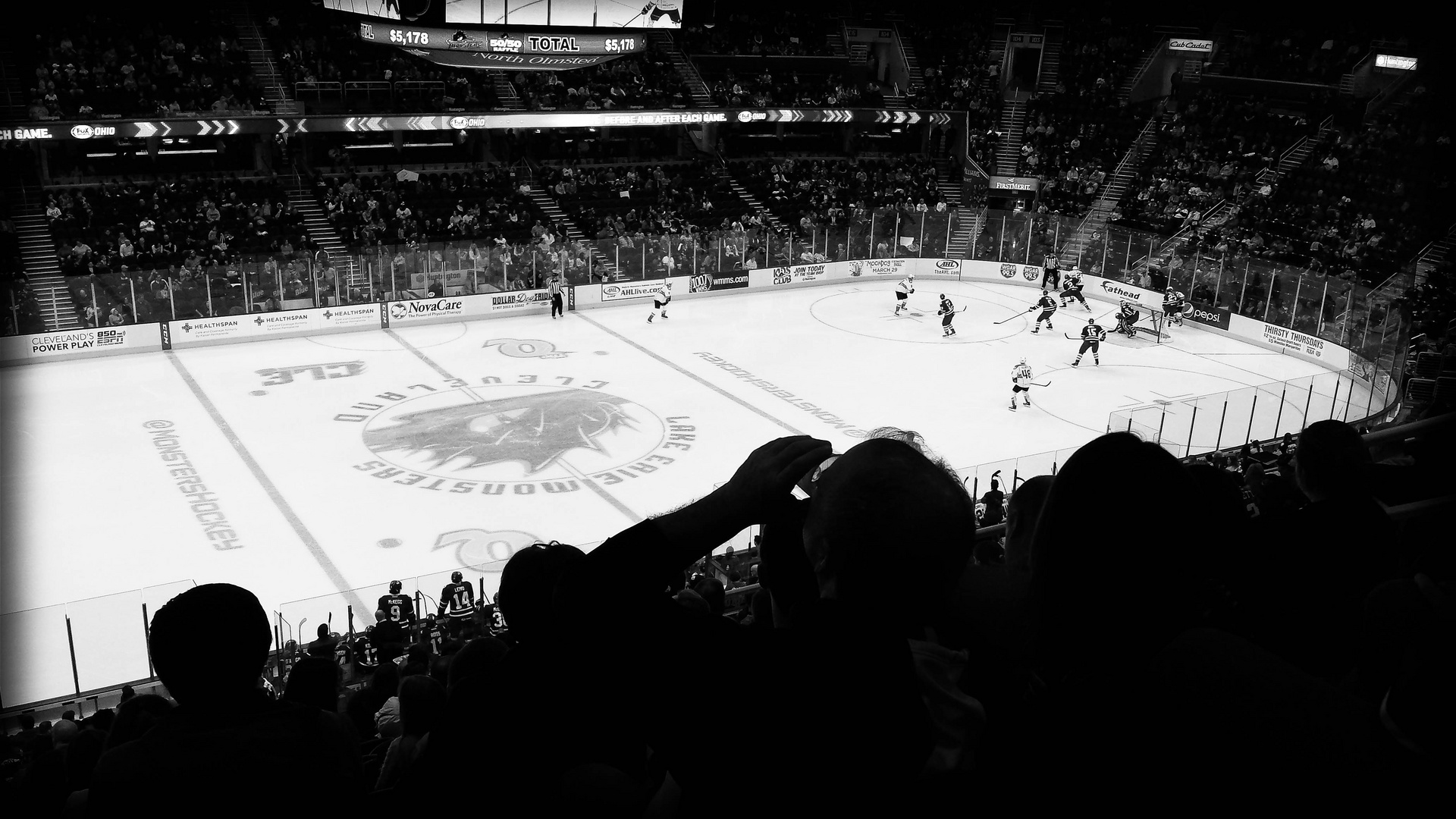 Hockey Game - Fan Experience