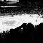 Hockey Game - Fan Experience