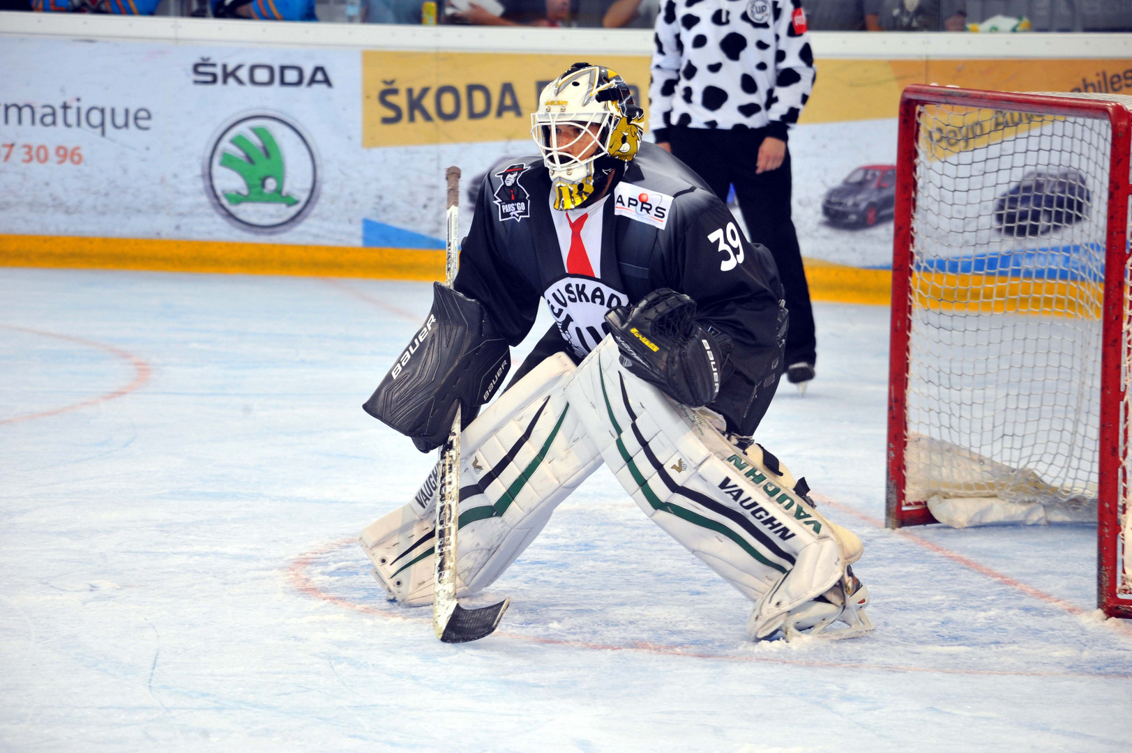 hockey town gardien photo et image