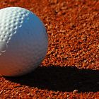 Hockeyball im Abendlicht