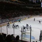 Hockeygame Deutschland - Finnland